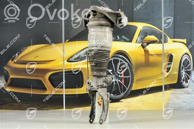 Porsche Cayenne (9PA) Ammortizzatore anteriore