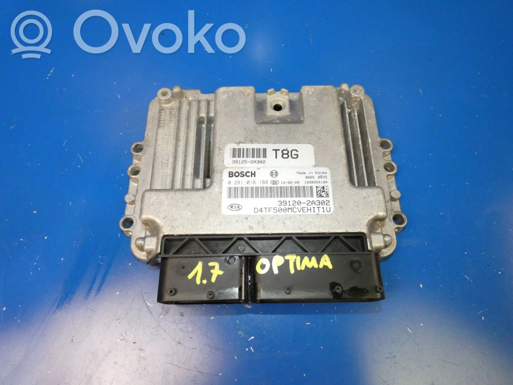 Engine control unit/module   391202A302,391252A302,0281018188