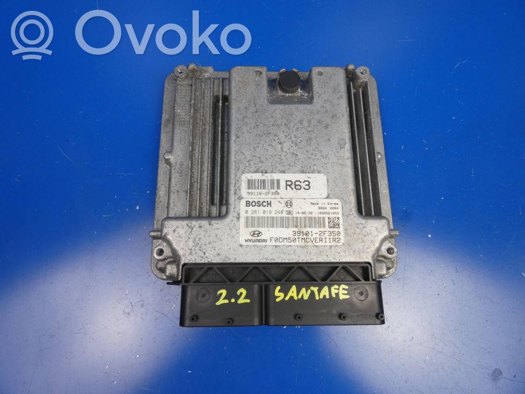 Hyundai Santa Fe Engine control unit/module 