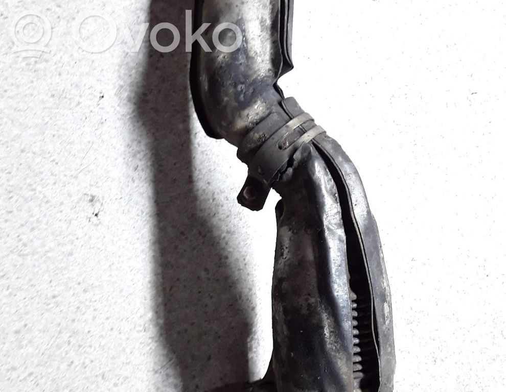 Conexión flexible del escape