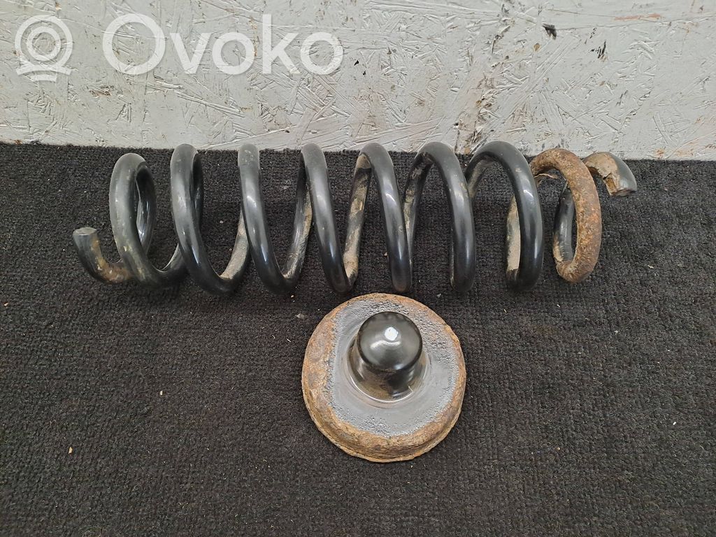 Rear coil spring