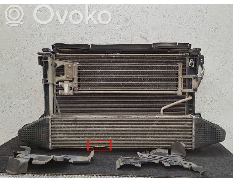 Mercedes-Benz E W212 Set radiatoare 