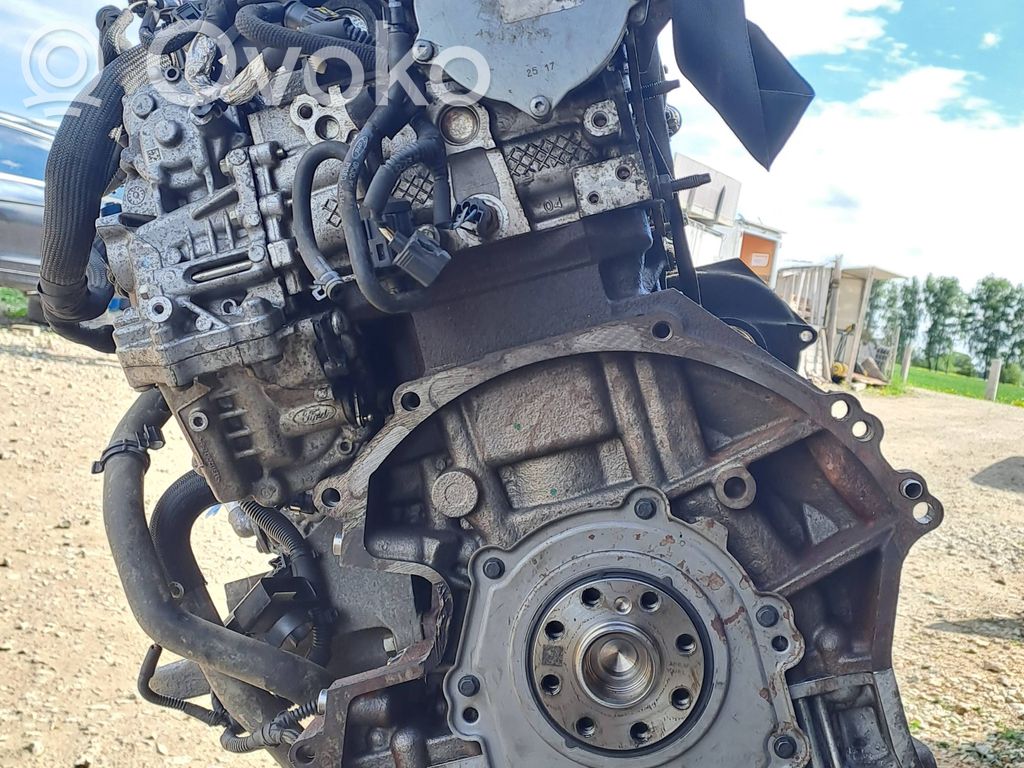 Moteur   YNR6