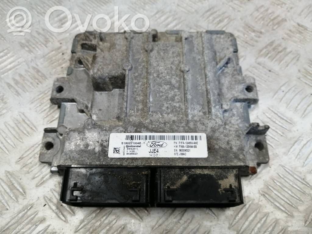 Ford Focus Engine control unit/module 