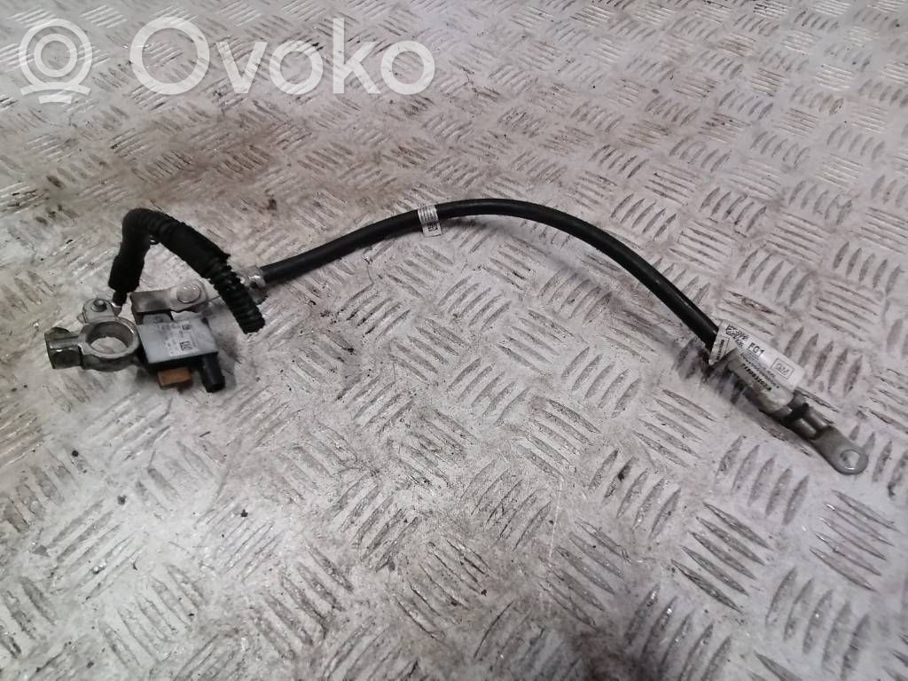 Negative earth cable (battery)   13306650,6PK01055700,ZSS200