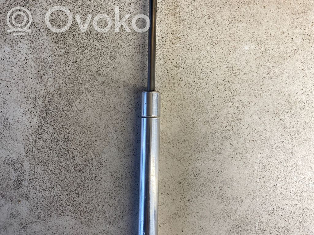 Volkswagen Phaeton Tailgate/trunk strut/damper 
