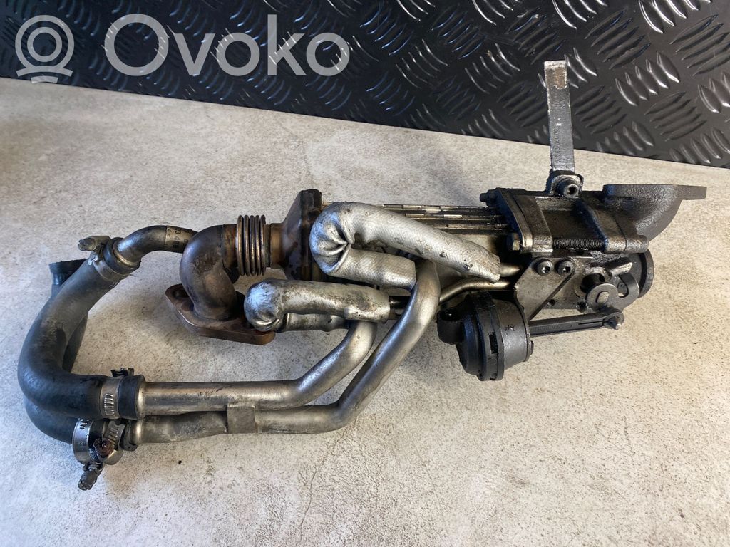 Volkswagen Phaeton Refrigerador de la válvula EGR 