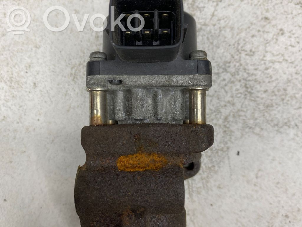 Válvula EGR   79073A