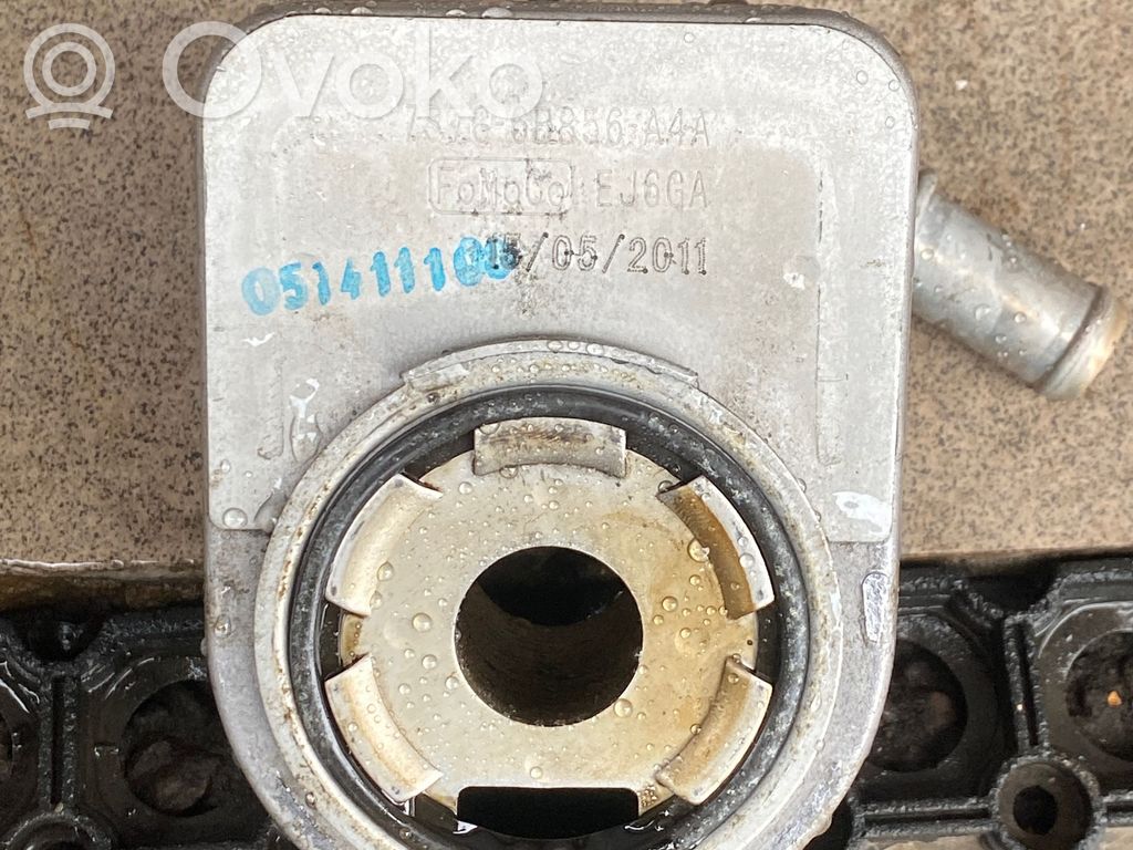 Ford C-MAX II Ölkühler 