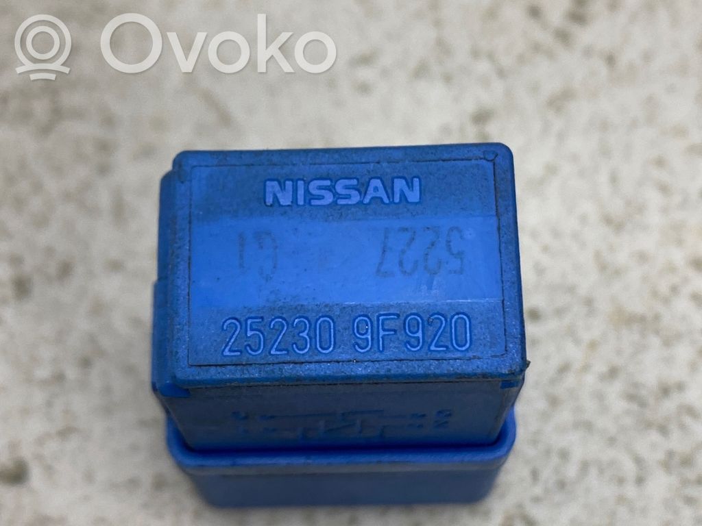 Nissan Pathfinder R51 Altri relè 