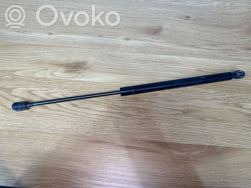 Dodge Caliber Tailgate/trunk strut/damper 
