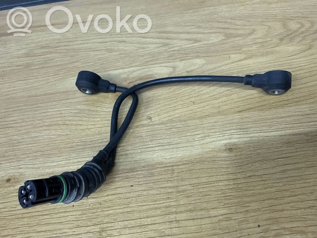 Detonation knock sensor   1703592