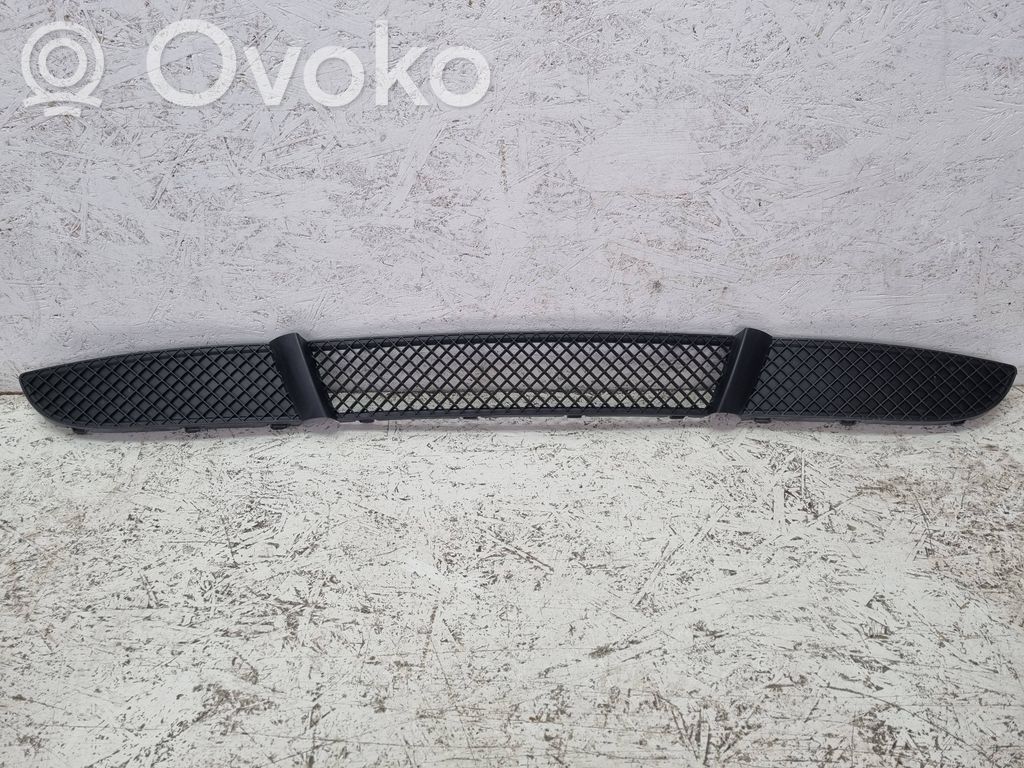 BMW 1 E81 E87 Front bumper lower grill 