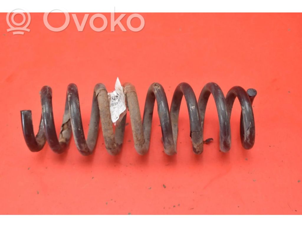 Rear coil spring