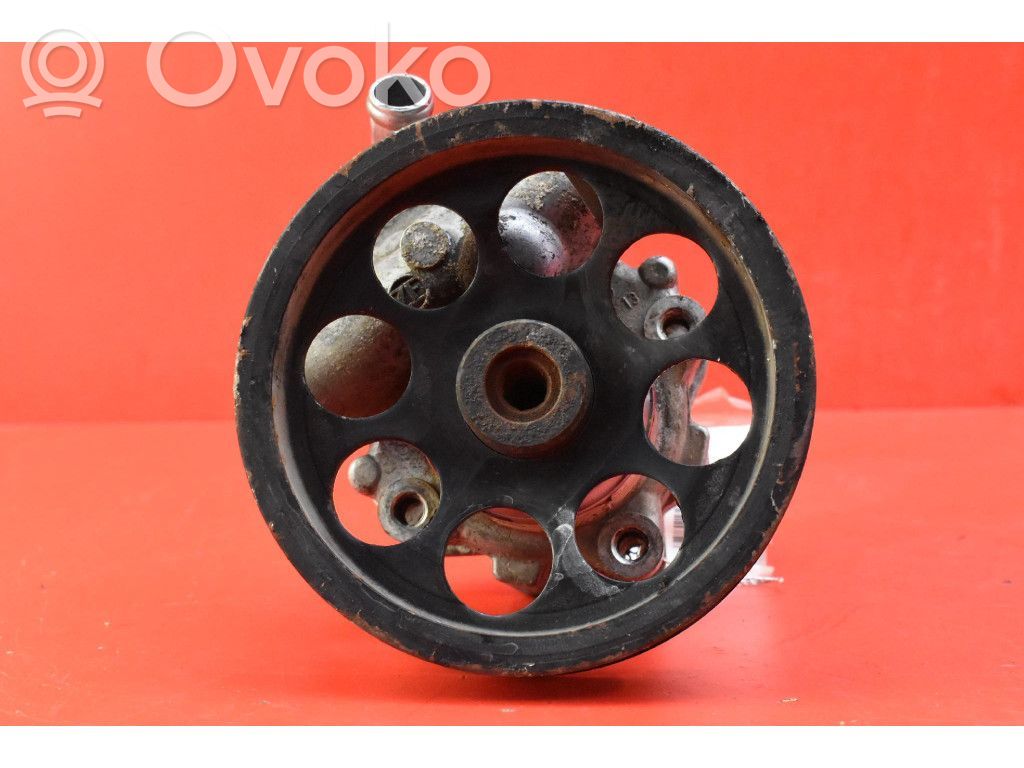 Power steering pump   4838447,4838447