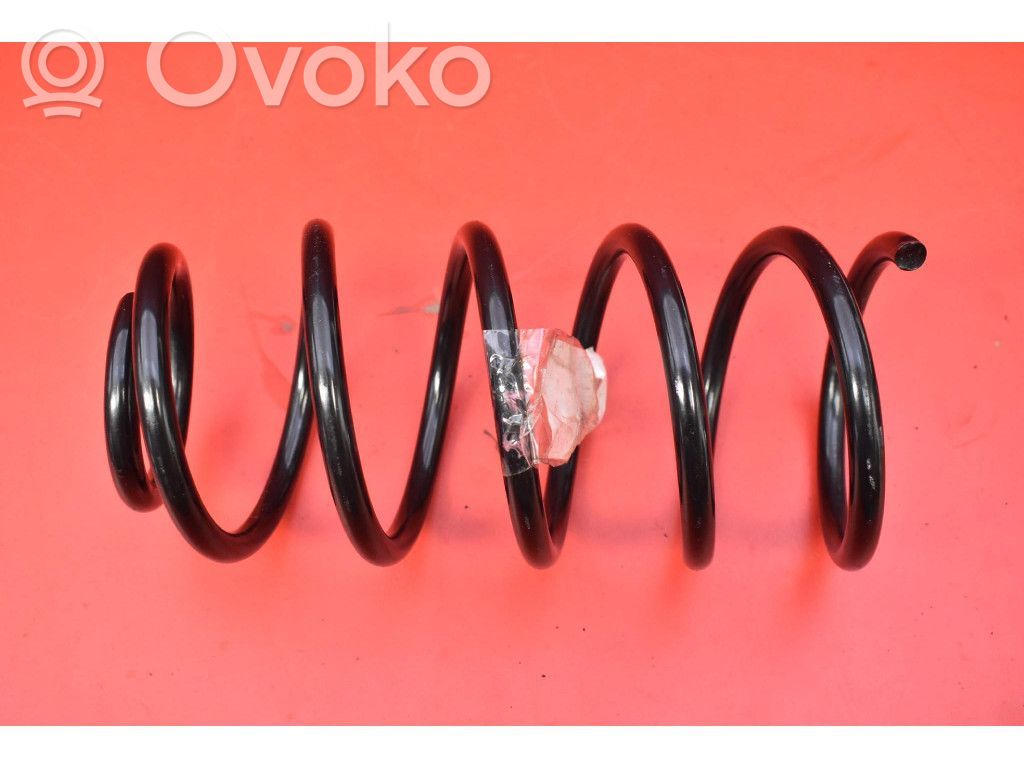 Rear coil spring