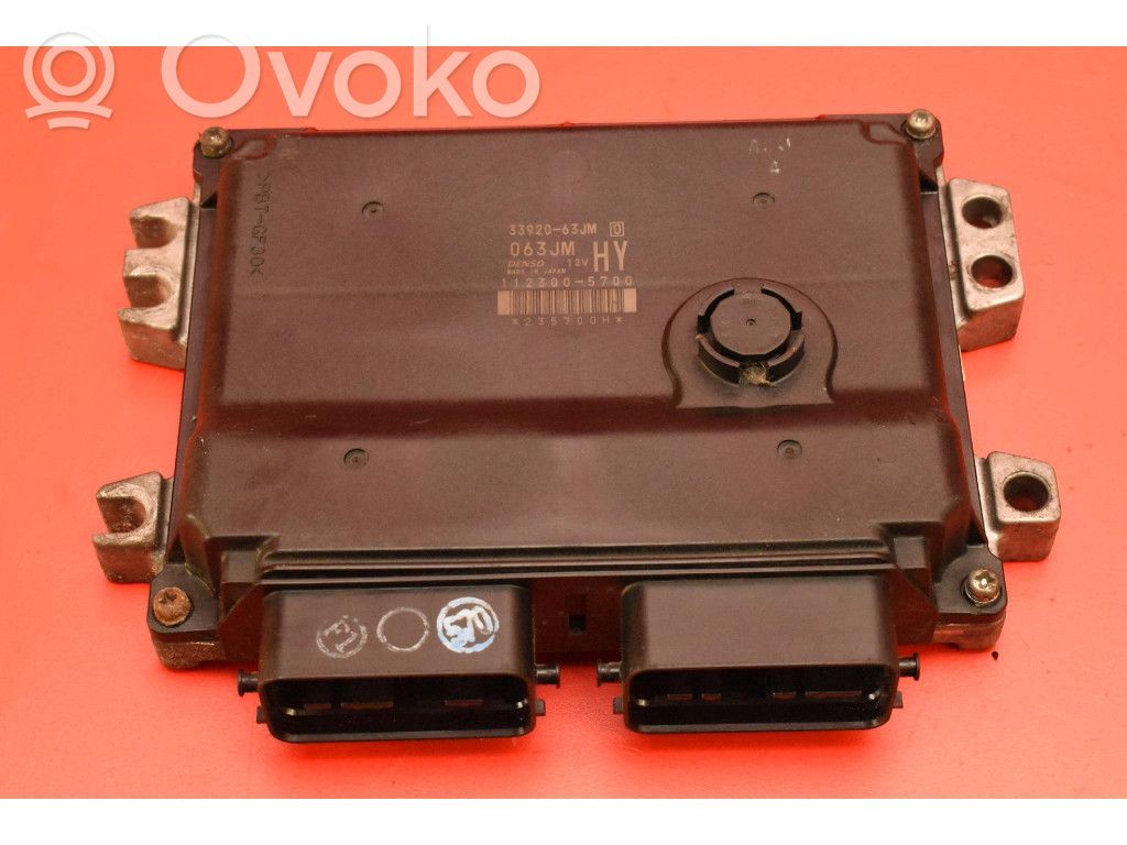 Engine control unit/module ECU   3392063JM,3392063JM