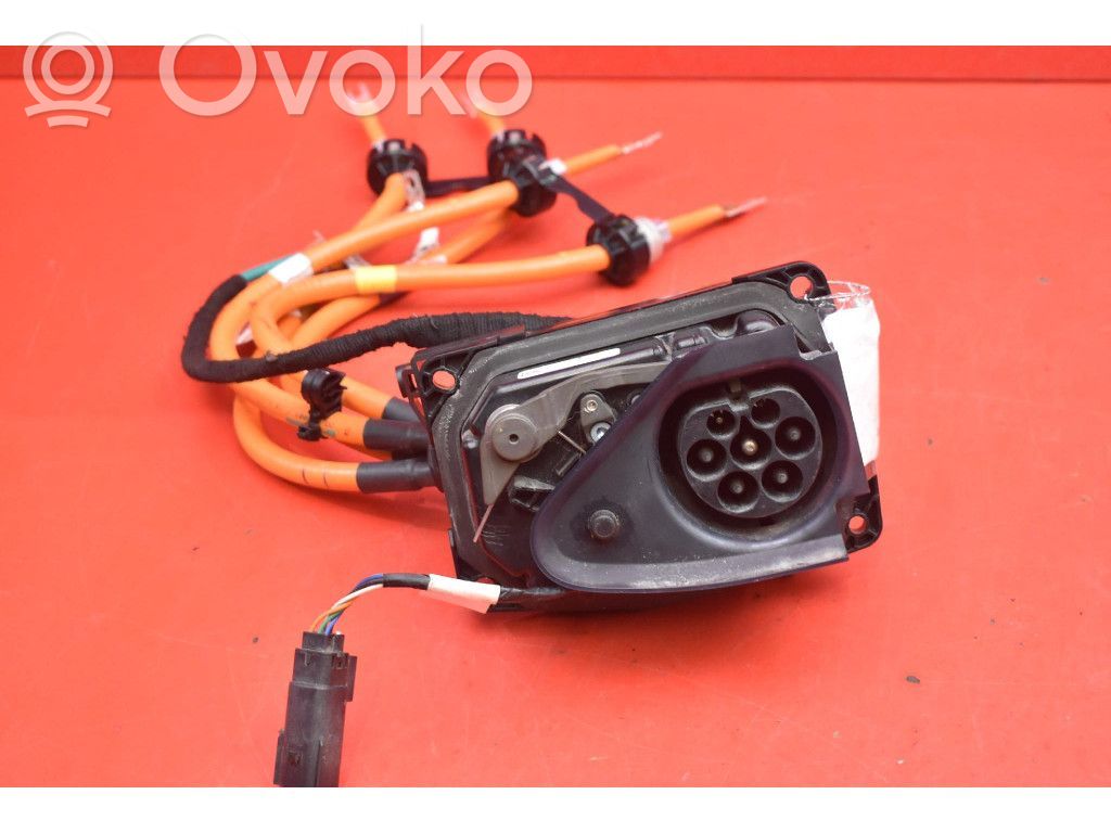 Otros cableados   106135300G,106135300G