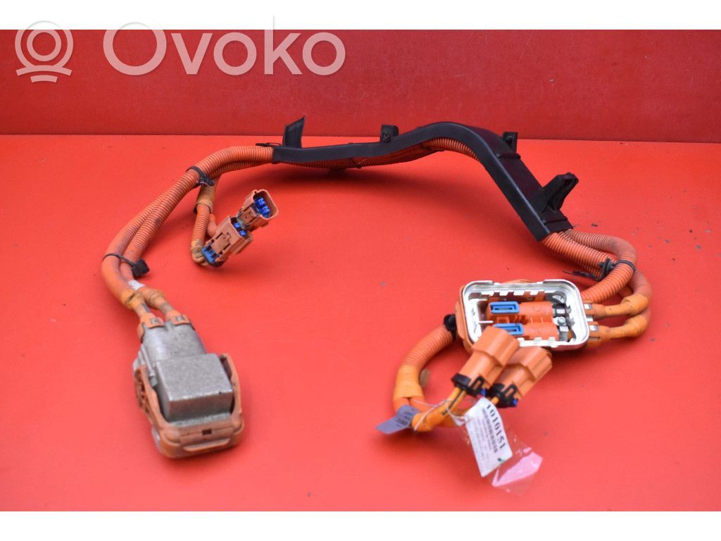 Opel Ampera Citi elektroinstalācijas vadi 