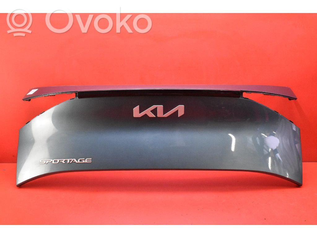 KIA Sportage Освещение номера 
