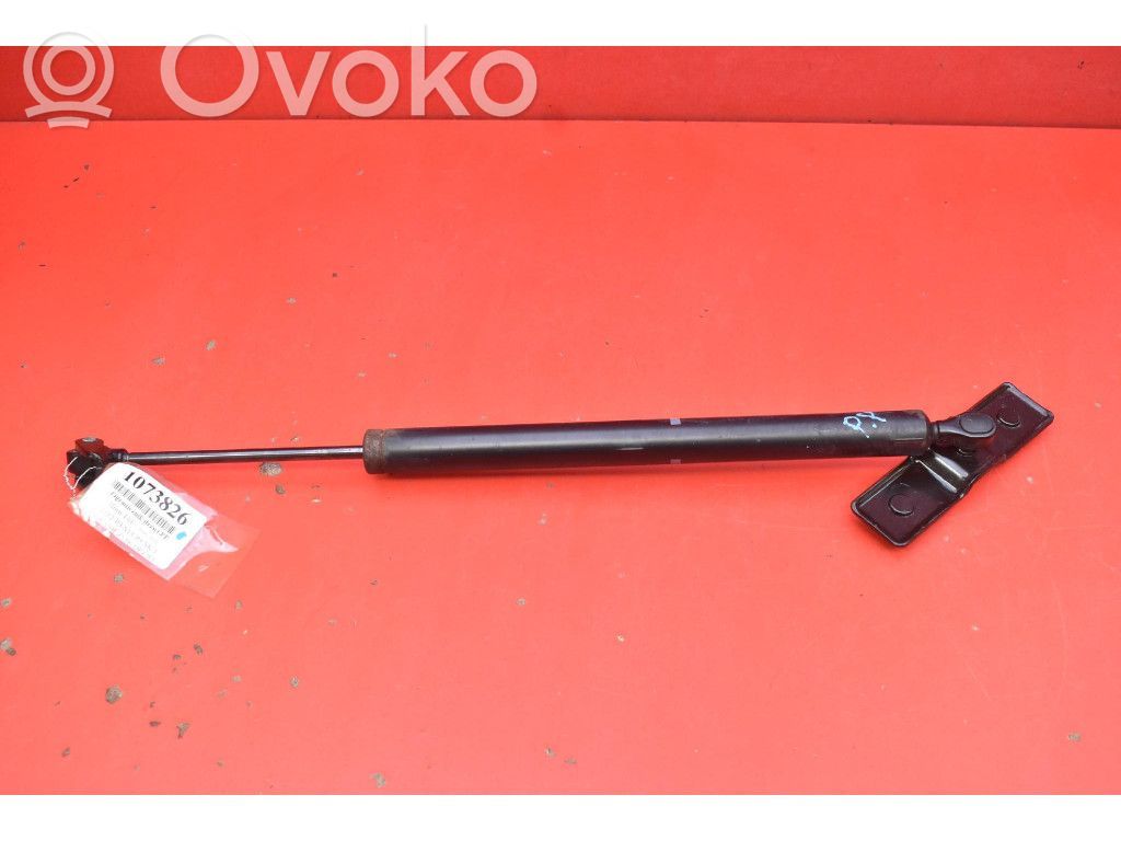 BMW 7 F01 F02 F03 F04 Opritor ușă față 