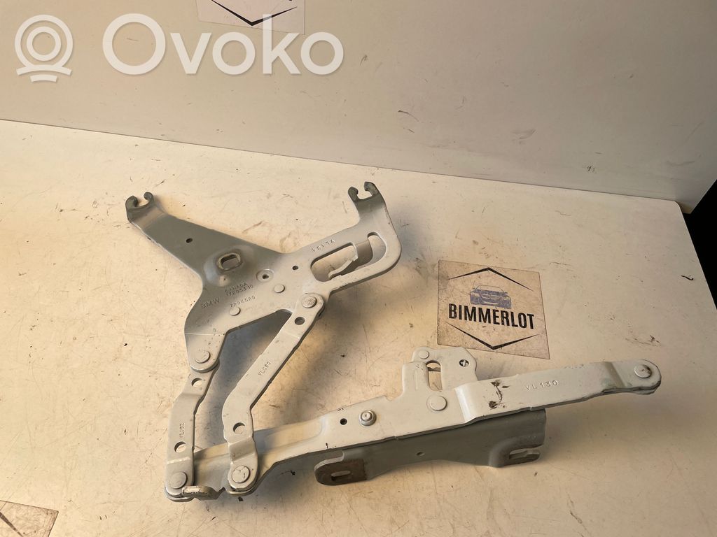 BMW X5 F15 Bisagras del capó/tapa del motor 