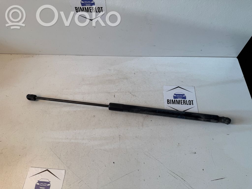 Ford Focus Tailgate/trunk strut/damper 
