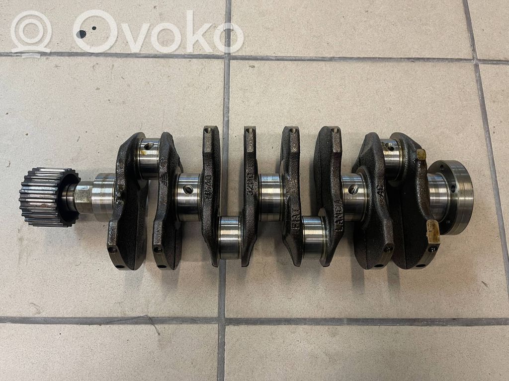 Fiat 500 Crankshaft 