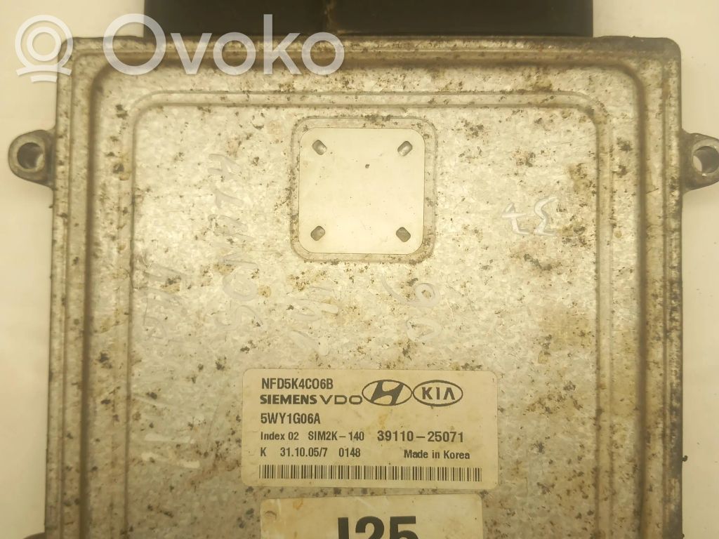 Hyundai Sonata Engine control unit/module 