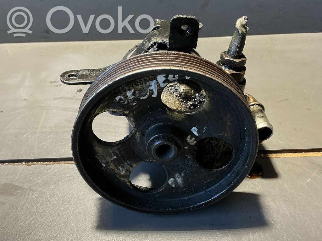 Peugeot 206 Servopumpe 