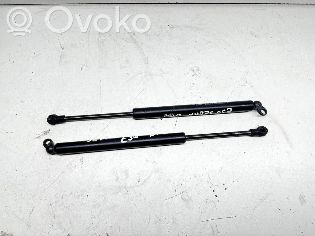 BMW 5 E39 Muelle neumático del maletero/compartimento de carga 