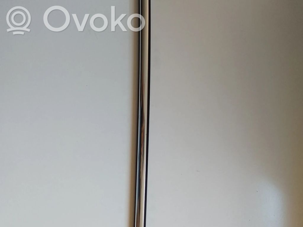 Ford Focus Задняя отделка дверей (молдинги) 