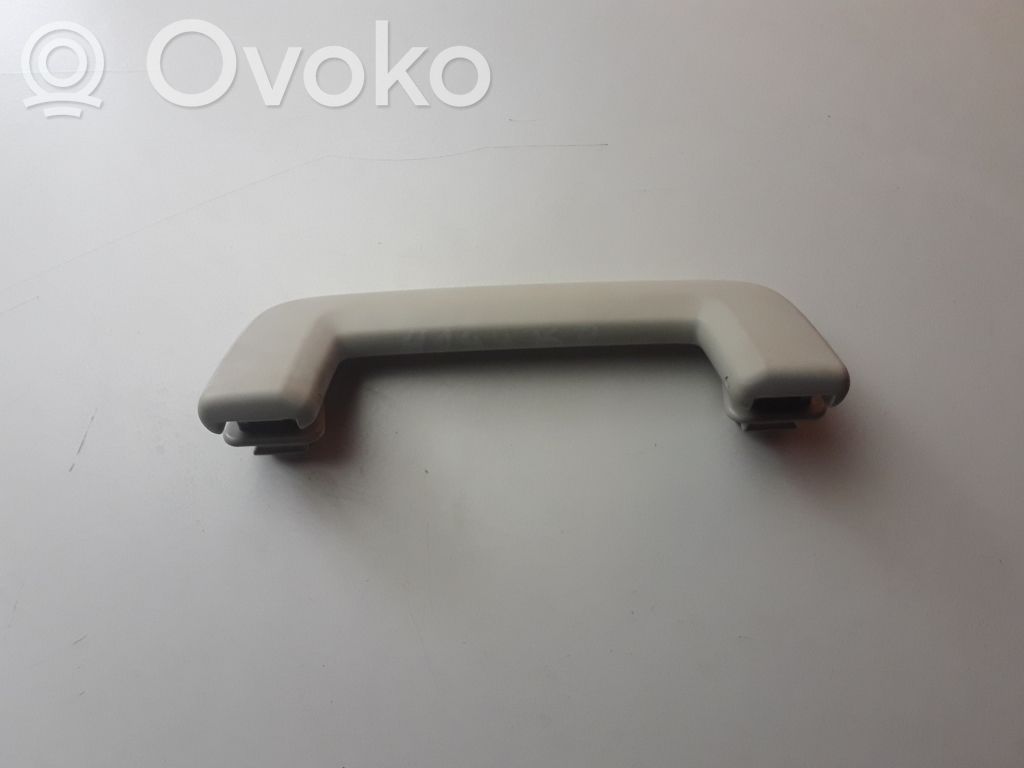 Haltegriff vorne   DS73A045B14