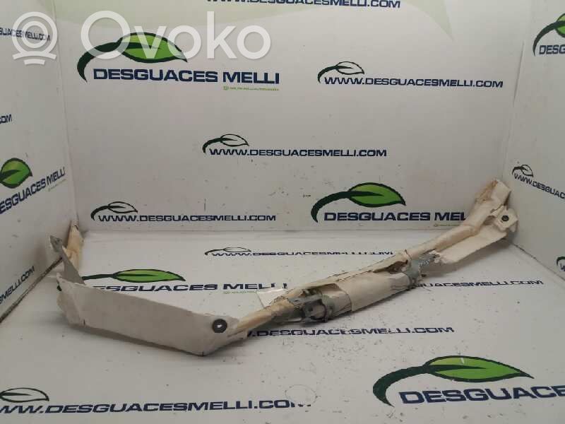 Seat Leon (1P) Airbag del techo 
