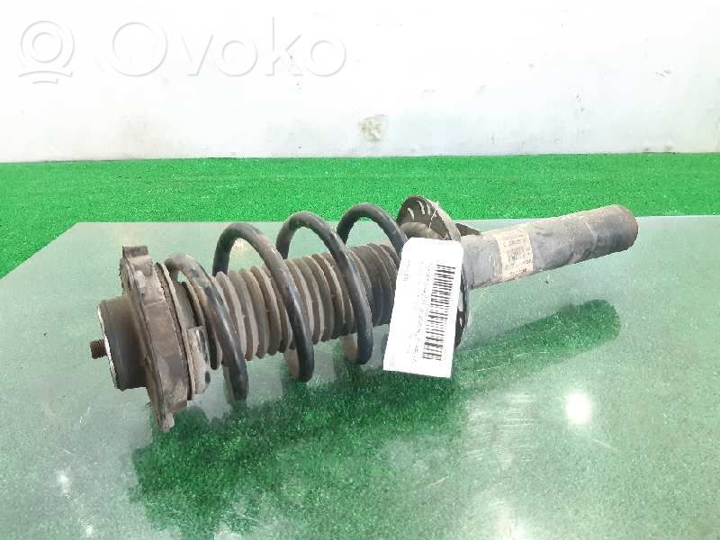Ammortizzatore anteriore   1T0413031DC