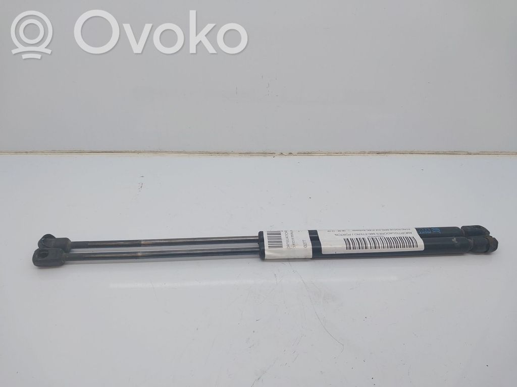 Tailgate/trunk strut/damper   1150277