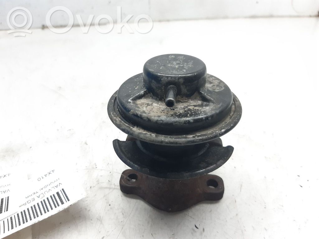 Hyundai Terracan EGR-venttiili 