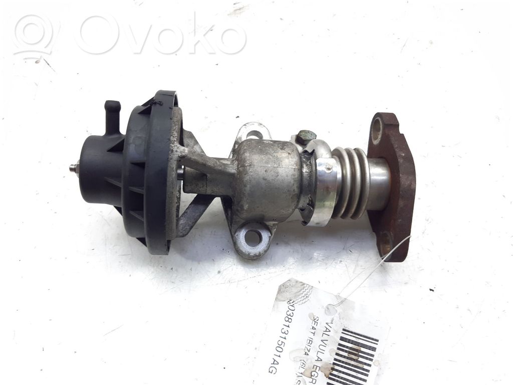 Seat Ibiza III (6L) Zawór EGR 