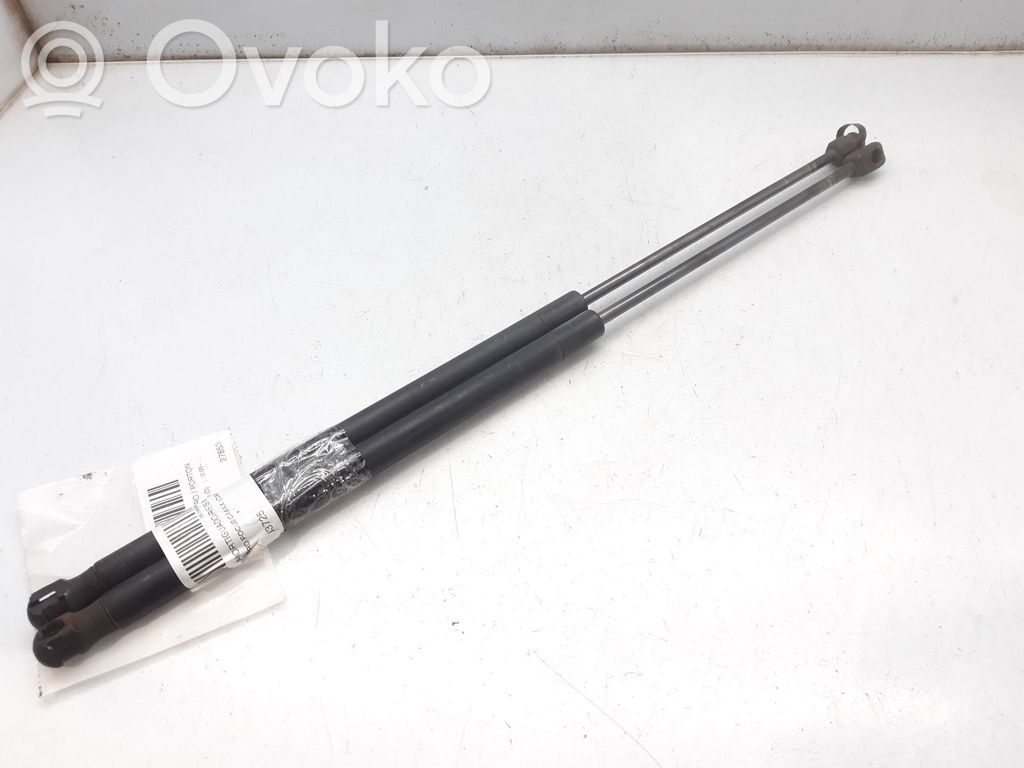 Ford Focus C-MAX Tailgate/trunk strut/damper 