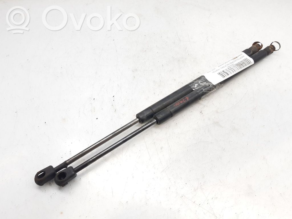 Ford Focus Tailgate/trunk strut/damper 