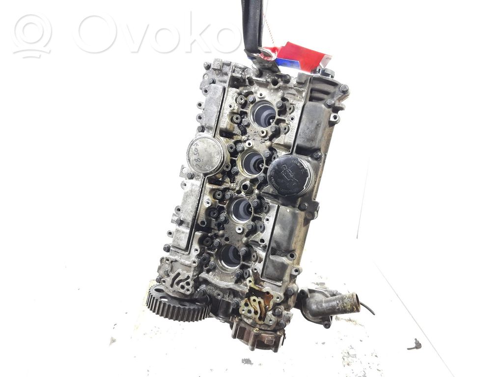 Engine head   1001851