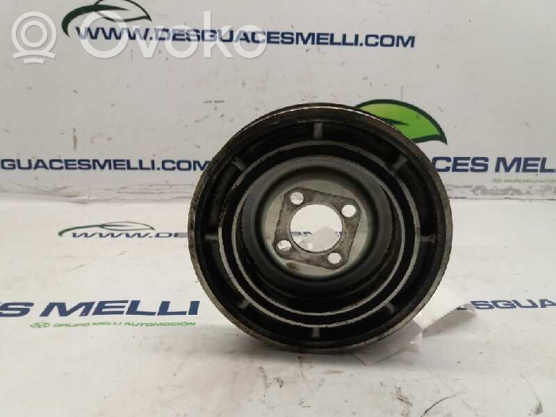 Riemenscheibe   46819147