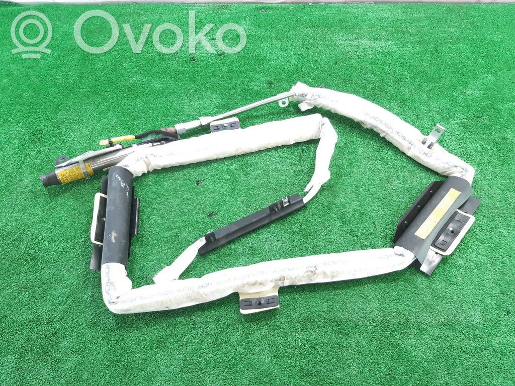 Hyundai Santa Fe Airbag del techo