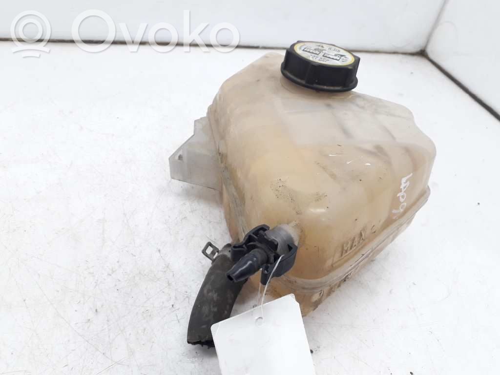 Depósito del refrigerante   1117892