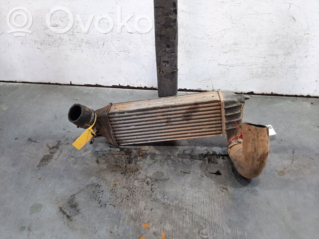 Peugeot 807 Intercooler radiator 