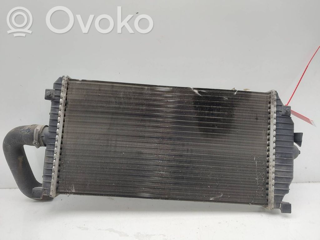 Interkūlerio radiatorius   130070200F