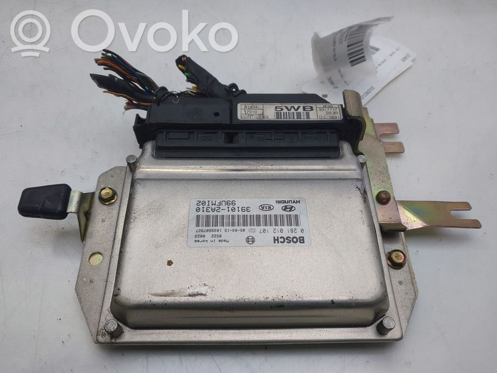 Engine control unit/module   391012A310
