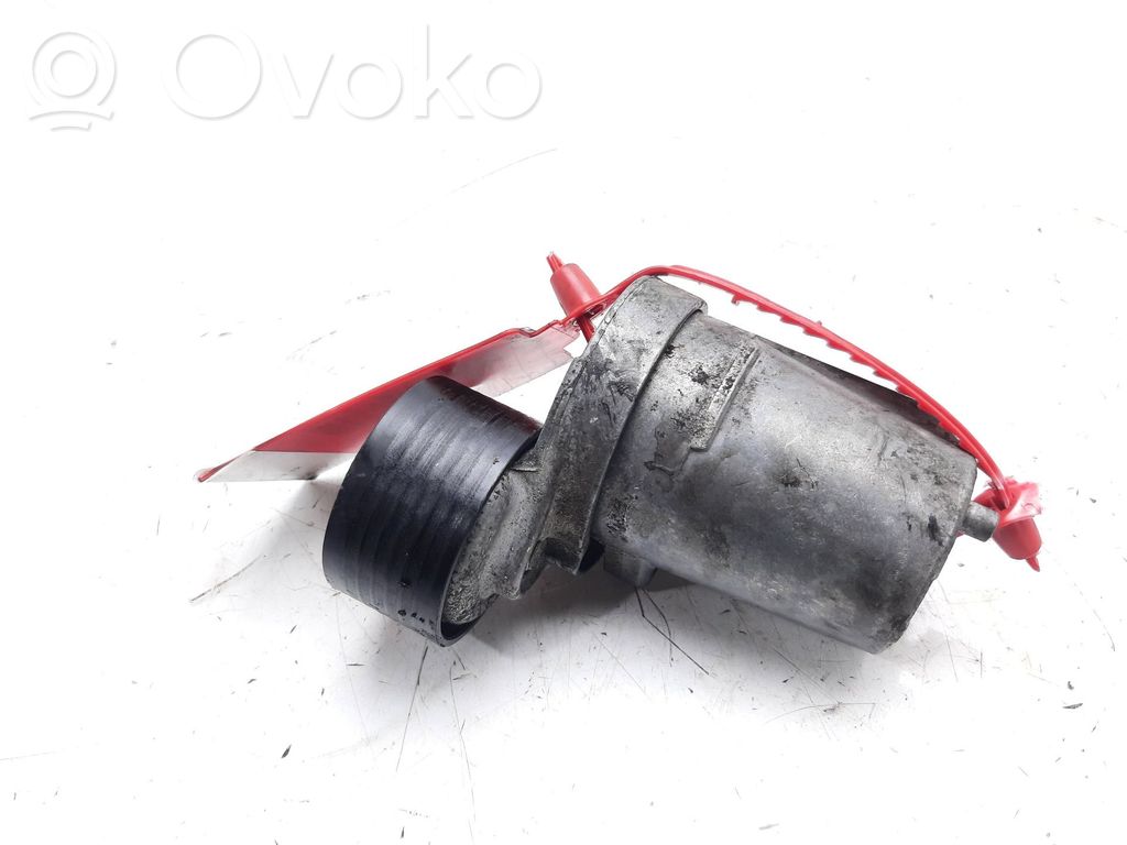 Tensor de correa del alternador   780033303