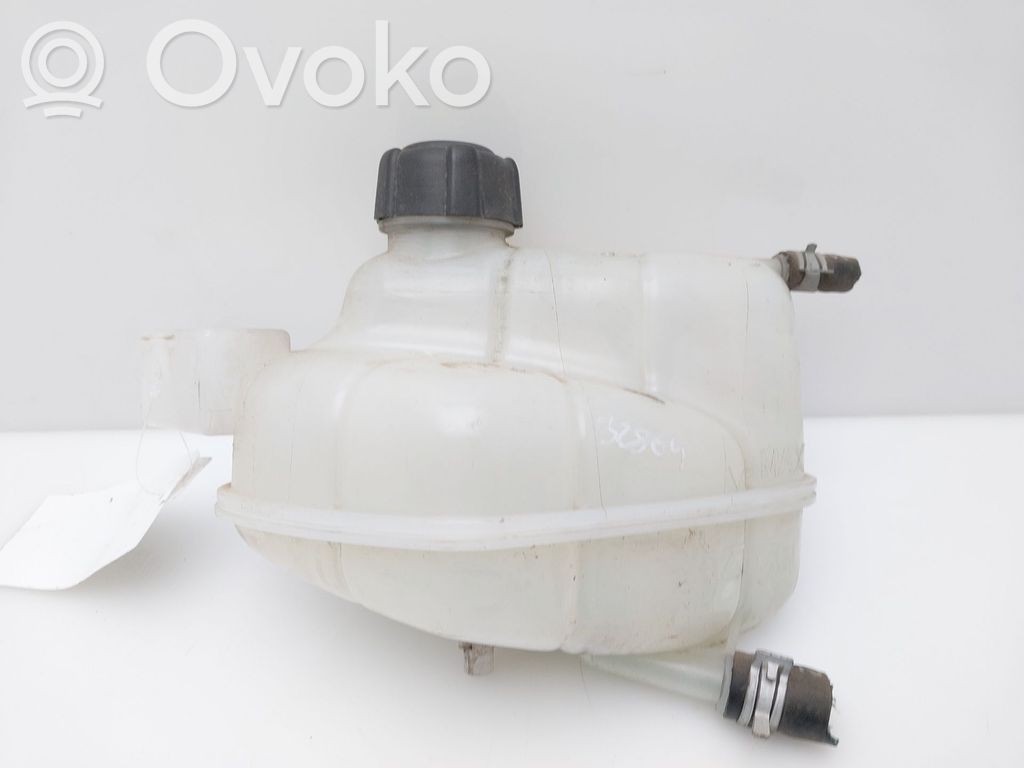 Nissan Qashqai Vas expansiune/rezervor lichid de răcire 