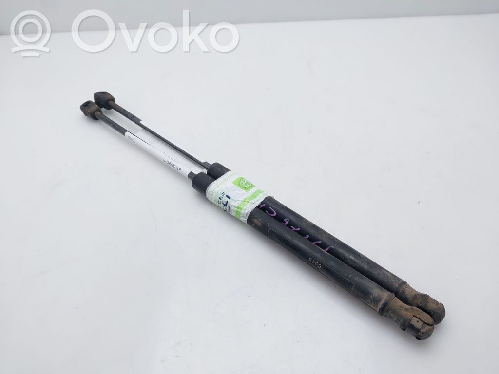 Hyundai Santa Fe Amortizor capotă motor 